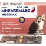 Лучшие аналоги препарата Мильбемакс для кота