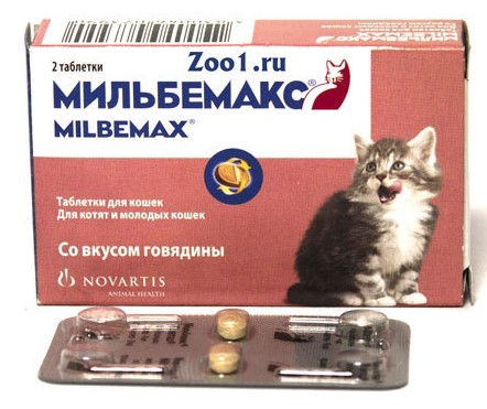 Лучшие аналоги препарата Мильбемакс для кота